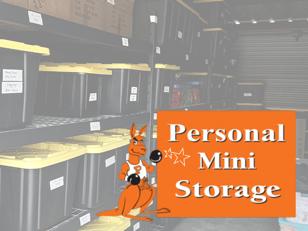 Personal Mini Storage.png